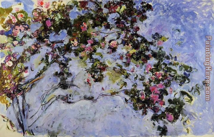 The Rose Bush painting - Claude Monet The Rose Bush art painting